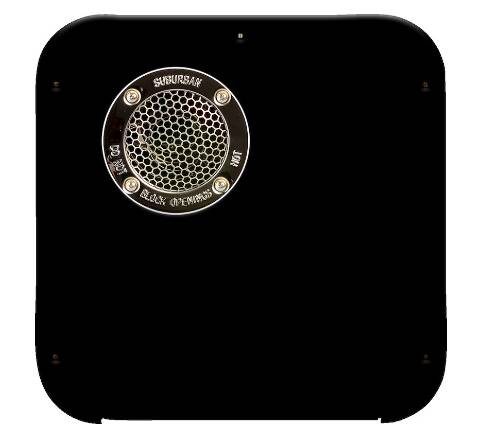Suburban Access Door for 6 Gallon Water Heater, Black • 6276AEB