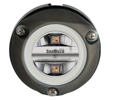 Lumitec Zambezi Mini Surface Mount Underwater Light • 101833