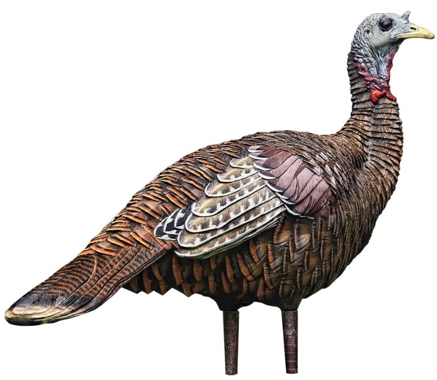 Avian-X LCD Lookout Hen Decoy • -AVX8006