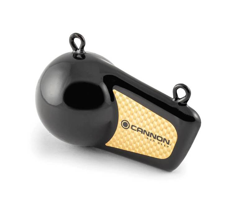 Cannon 8 lb Downrigger Flash Weight • 2295182