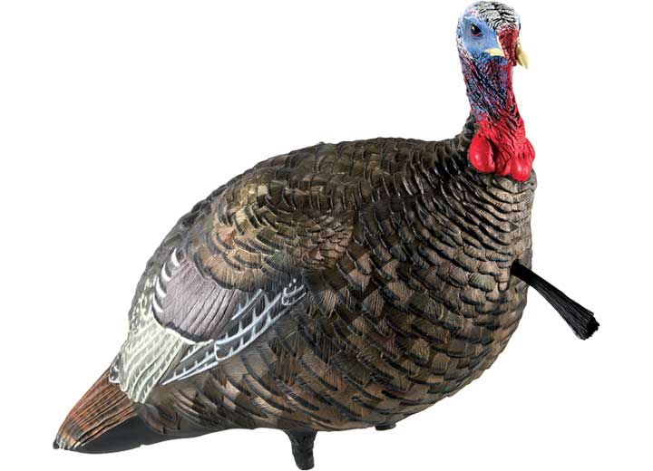 Avian-X LCD Quarter-Strut Jake Turkey Decoy • -AVX8003