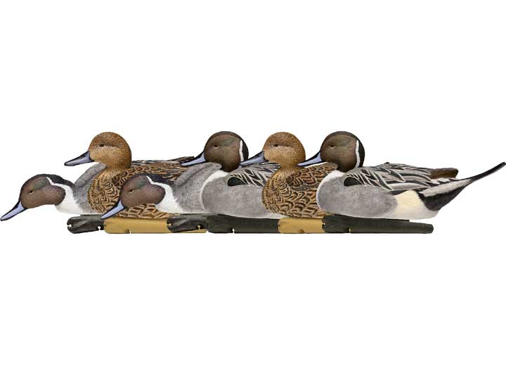 Avian-X Topflight Pintail Decoys, 6 Pack • -AVX8082