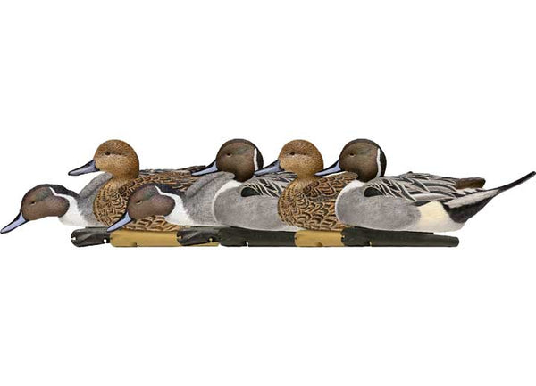 Avian-X Topflight Pintail Decoys, 6 Pack • -AVX8082