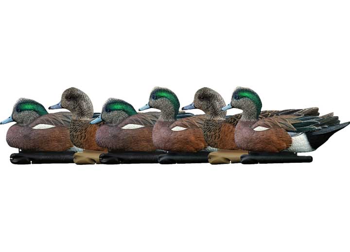 Avian-X Topflight Wigeon Decoys, 6 Pack • -AVX8084
