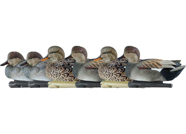 Avian-X Topflight Gadwall Decoys, 6 Pack • -AVX8085
