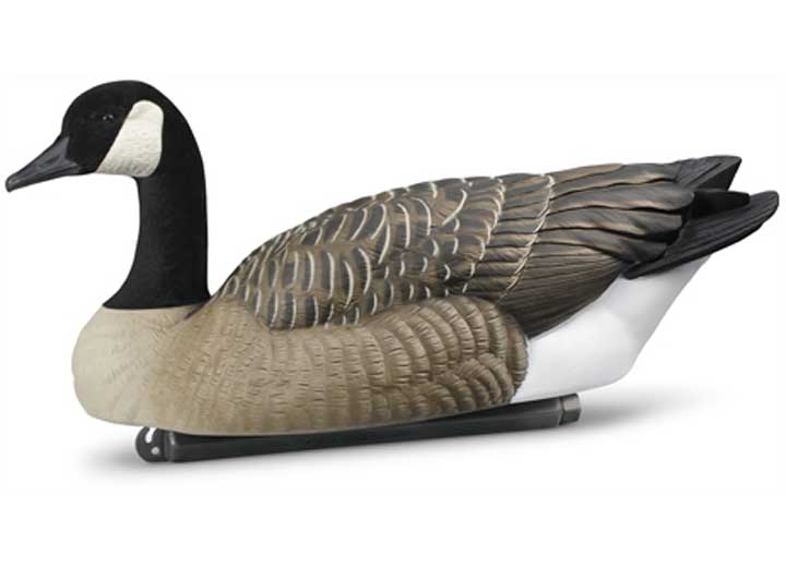 Beavertail Rogue Series Floating Goose Decoys 6pk • 450001