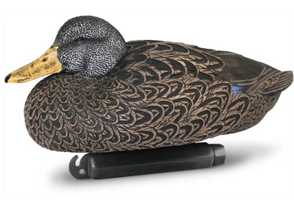 Beavertail Refuge Series Black Duck Floater Decoys 6pk • 450008