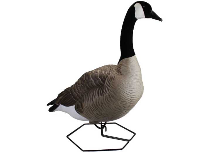 Beavertail Dominator Series Full Body Decoys, Active 4 Pack • 450045