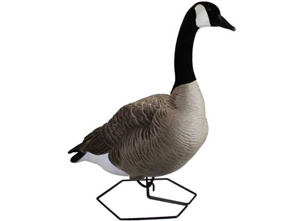 Beavertail Dominator Series Full Body Decoys, Active 4 Pack • 450045