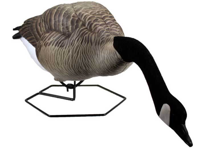 Beavertail Dominator Series Full Body Decoys, Feeder 4 Pack • 450046