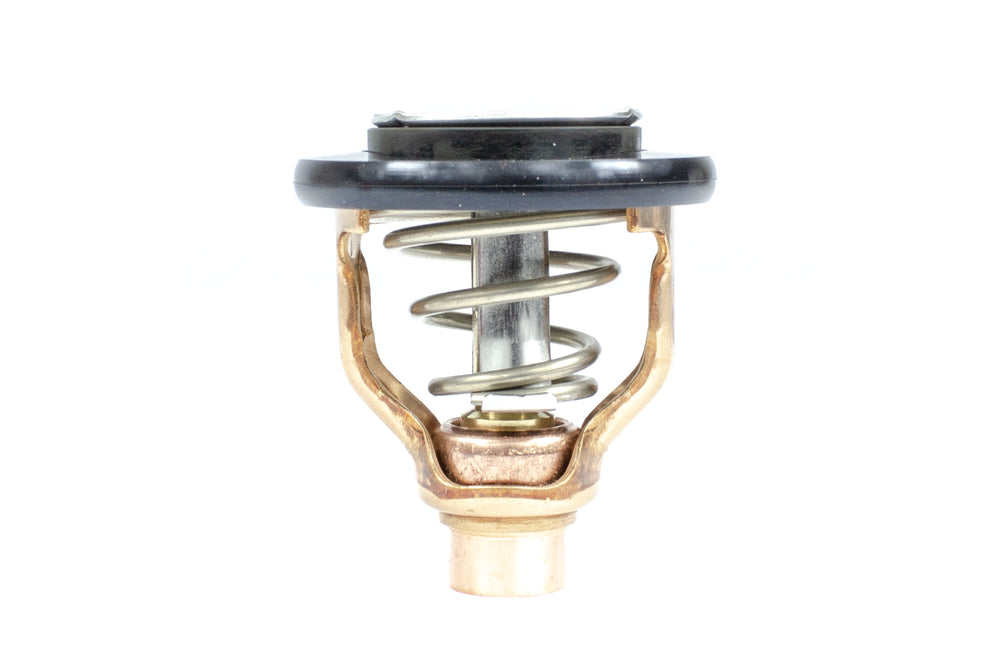 Sierra Thermostat Kit for Yamaha • 18-3634