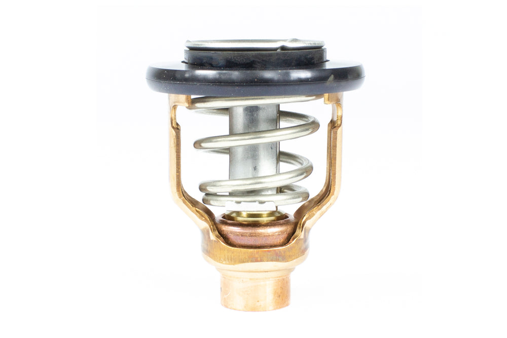 Sierra Thermostat Kit for Yamaha • 18-3636