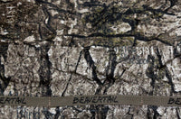Beavertail 1400/1600 Series Flip-Top Blind - Spot Timber  • 401347