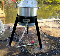 Bayou Classic 10-Quart Aluminum Outdoor Propane Gas Fish Cooker/Deep Fryer Kit  • 2212