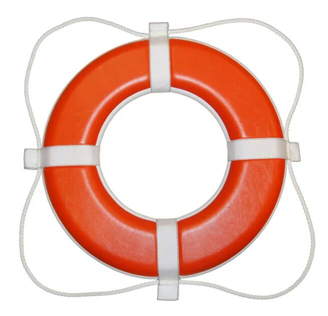 Taylor Made 24" Vinyl Coated Foam Life Rings USCG Approved, Orange  • 368