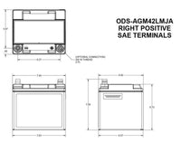 Odyssey Extreme Series AGM 12V Battery  • ODS-AGM42LMJA