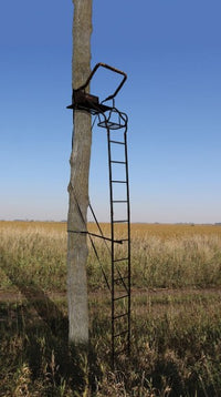Big Game Warrior Elite Ultra Wide Ladder Stand  • BGM-LS3815