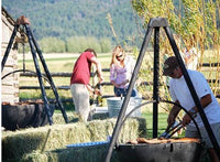 Cowboy Cauldron The Ranch Boss Fire Pit & Grill, 220 LBS, 42" Diameter  • 40001-RANCH BOSS