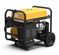 Firman Remote Start Gas Powered Generator 10,000W 50A 120/240V w/ Co Alert  • P08008