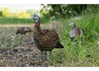 Avian-X LCD Lookout Hen Decoy  • -AVX8006