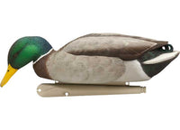 Avian-X Topflight Fusion Mallard Decoys, 6 Pack  • -AVX8076