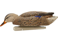 Avian-X Topflight Fusion Mallard Decoys, 6 Pack  • -AVX8076