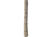 Big Game Quick-Stick 20' Climbing Stick - 5 Sections  • BGM-CS050