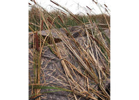 Beavertail 1400 Series Boat Blind, Karma Wetland, 14' - 15' Boats, 47" - 59" Beam  • 401326