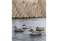 Beavertail Refuge Series Teal Floater decoys - 6 Pack  • 450007