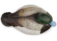 Beavertail Refuge Series Bluebill Floater Decoys, 6 Pack  • 450032