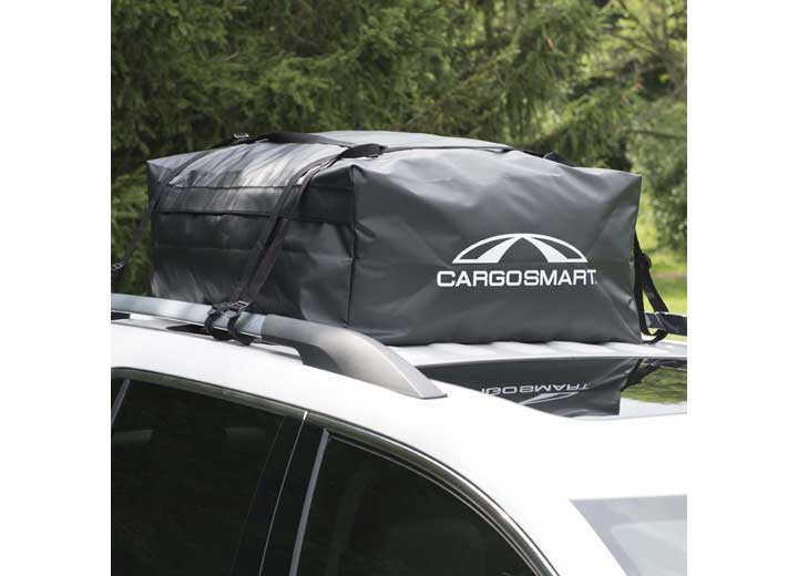 CargoSmart Rainproof Roof Top Cargo Carrier Bag 10 Cu Ft  • 6620