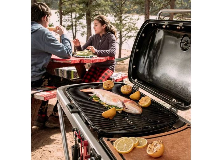 Weber Traveler Portable Gas Grill  • 9010001