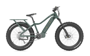 QuietKat Apex 10 E-Bike - 1000W, 17