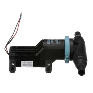 Whale Gulper Grouper™ 12V 438 GPH Electric Diaphragm Fishbox Evacuation Pump  • BP4572