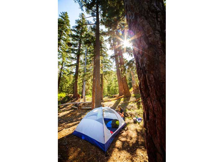 ALPS Mountaineering Lynx 3-Person Tent, Gray/Navy  • 5324650