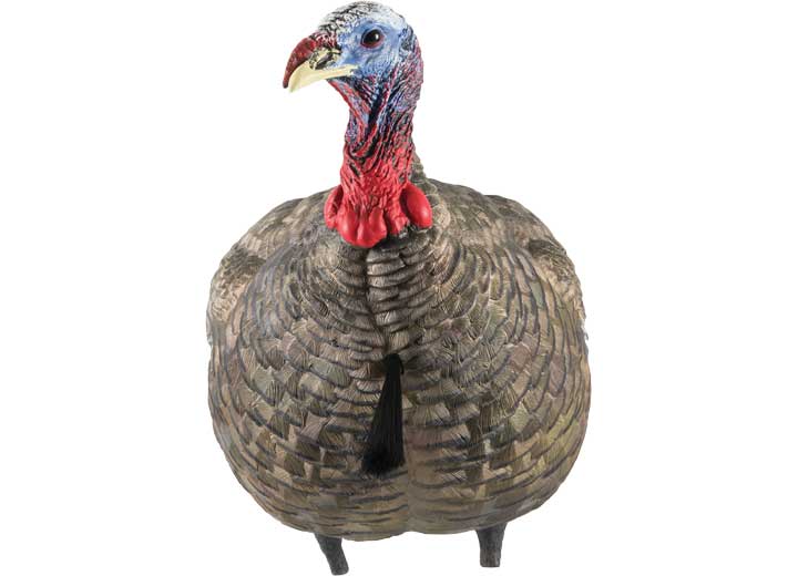 Avian-X LCD Quarter-Strut Jake Turkey Decoy  • -AVX8003