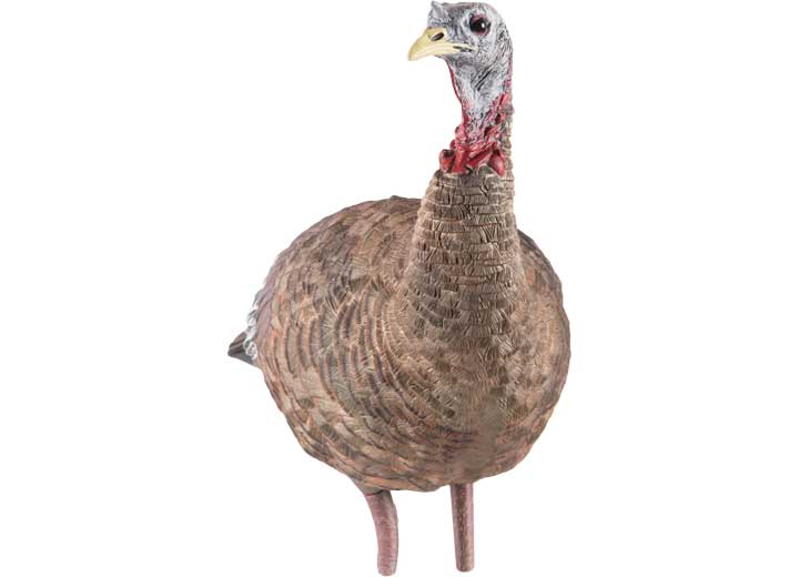 Avian-X LCD Lookout Hen Decoy  • -AVX8006