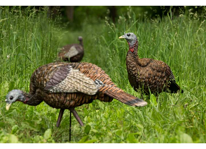 Avian-X LCD Lookout Hen Decoy  • -AVX8006