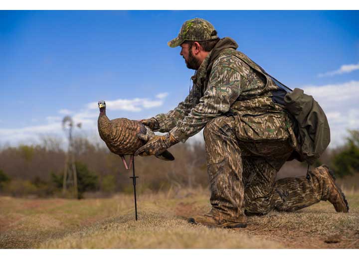 Avian-X LCD Lookout Hen Decoy  • -AVX8006