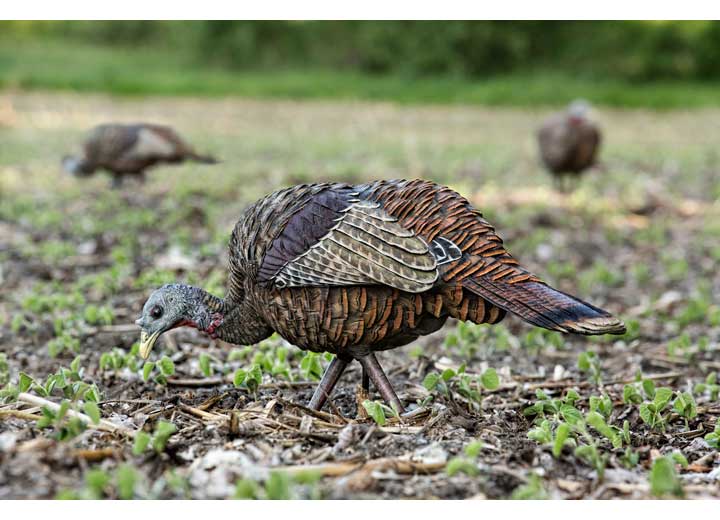 Avian-X LCD Feeder Hen Decoy  • -AVX8007