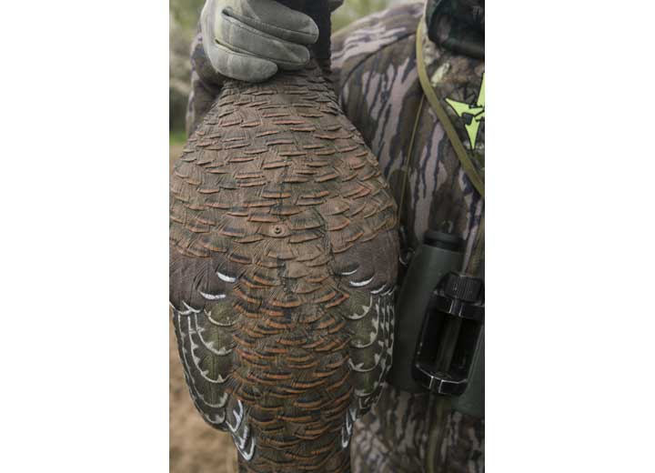 Avian-X LCD Breeder Hen Decoy  • -AVX8008