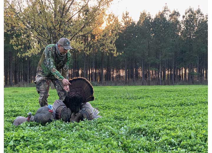 Avian-X LCD Laydown Hen Decoy  • -AVX8011