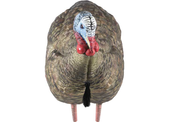Avian-X LCD Half-Strut Jake Decoy  • -AVX8012