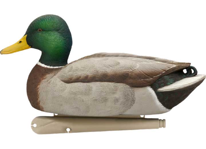 Avian-X Topflight Mallard Decoys Open Water 6 Pack  • -AVX8060