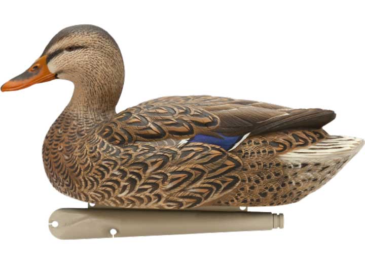 Avian-X Topflight Mallard Decoys Open Water 6 Pack  • -AVX8060