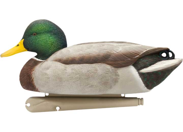 Avian-X Topflight Mallard Decoys Open Water 6 Pack  • -AVX8060