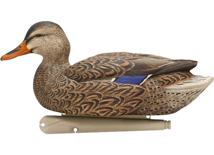 Avian-X Topflight Mallard Decoys Open Water 6 Pack  • -AVX8060