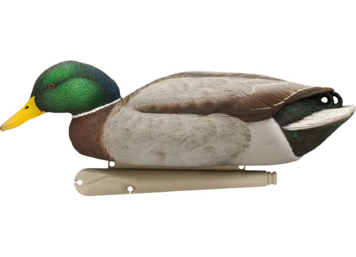 Avian-X Topflight Backwater Mallard Decoys, 6 Pack  • -AVX8070