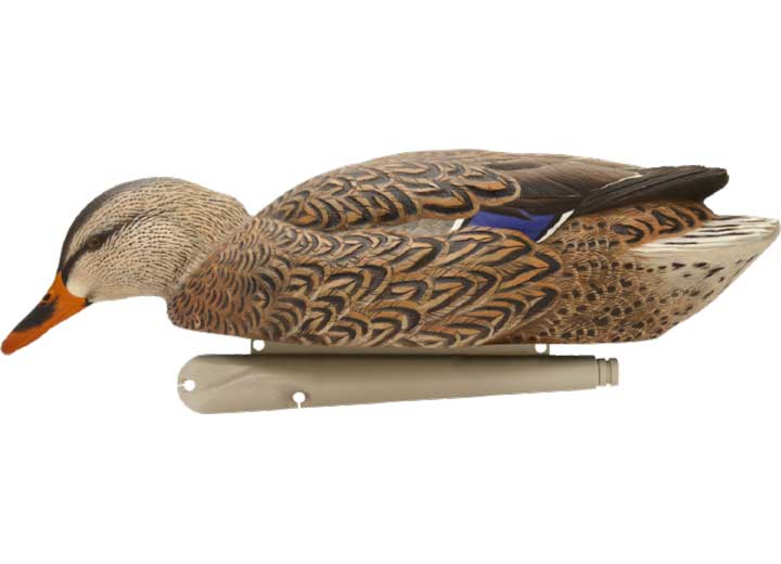 Avian-X Topflight Backwater Mallard Decoys, 6 Pack  • -AVX8070