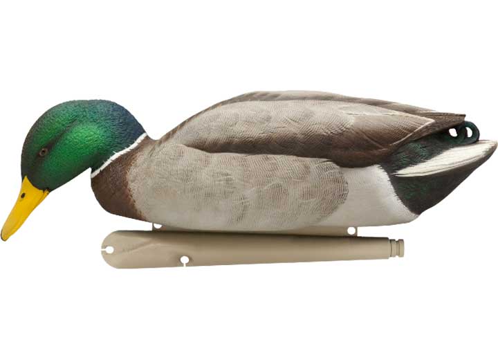 Avian-X Topflight Backwater Mallard Decoys, 6 Pack  • -AVX8070